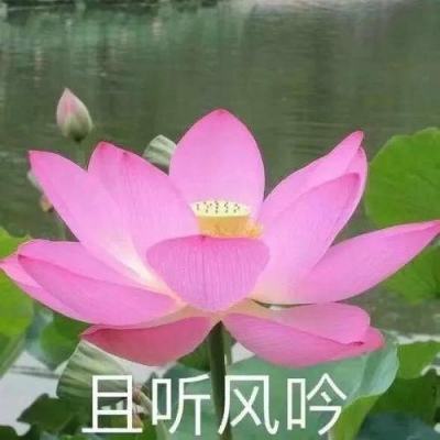 青兰赋国乐团新专辑《燕幽叹》首发音乐会举办